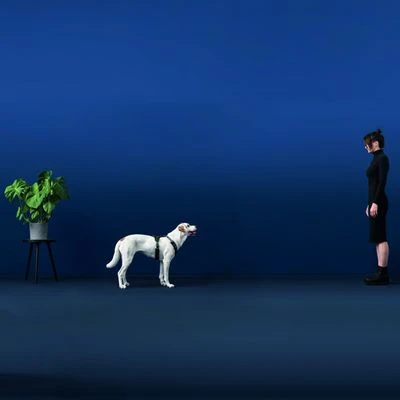 HUNTER Geschirr Maldon - Schwarz/grau 6 HUNTER Geschirr Maldon - Schwarz/grau – Bild 4