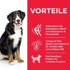 Hill's Science Plan Adult 1-5 Large Mit Huhn -Günstiges Futter Leine Geschäft 105729 hills scienceplan adult large chicken 14kg hs 05 4