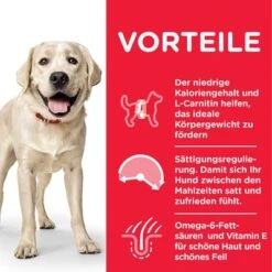 Hill's Science Plan Adult Light Large Breed Mit Huhn 10 Hill's Science Plan Adult Light Large Breed Mit Huhn -Günstiges Futter Leine Geschäft 105732 hills scienceplan adultlight largebreed chicken 14kg hs 06 3