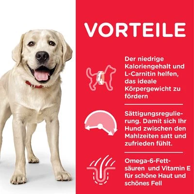 Hill's Science Plan Adult Light Large Breed Mit Huhn 5 Hill's Science Plan Adult Light Large Breed Mit Huhn – Bild 3