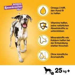 Mixpaket Pedigree Riesenknochen -Günstiges Futter Leine Geschäft 107098 mars pedigree riesenknochen maxi rind hs 02 8