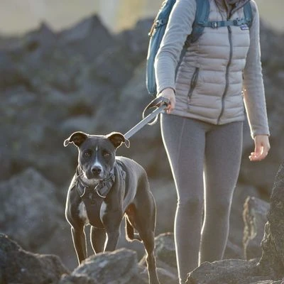 Ruffwear Geschirr Front Range, Twilight Gray 6 Ruffwear Geschirr Front Range, Twilight Gray – Bild 4