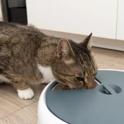 Futterautomat Noma -Günstiges Futter Leine Geschäft 116296 futterautomat noma fg 9445 3