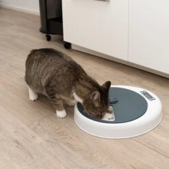 Futterautomat Noma -Günstiges Futter Leine Geschäft 116296 futterautomat noma fg 9456 9