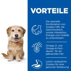 Hill's Science Plan Mature Adult Senior Vitality 7+ Small & Mini Mit Huhn -Günstiges Futter Leine Geschäft 117798 hills sp dog senior vitality s m hs 03 9