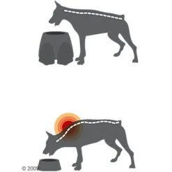 Savic Ergo Feeder Hundebar -Günstiges Futter Leine Geschäft 125461 savic ergofeeder3 1