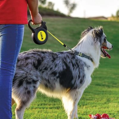 KONG Reflect Einziehbare Leine Schwarz – Bild 2