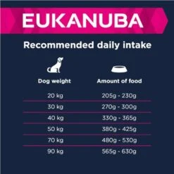 Eukanuba Adult Large Breed Lamb & Rice -Günstiges Futter Leine Geschäft 135797 eukanuba adult large breed lamm reis feeding 3 9