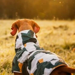Rukka® Stormy Hundemantel, Camouflage -Günstiges Futter Leine Geschäft 139796 lfashion rukka stormy hundemantel camouflage hs 05 0