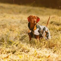 Rukka® Stormy Hundemantel, Camouflage -Günstiges Futter Leine Geschäft 139796 lfashion rukka stormy hundemantel camouflage hs 07 5