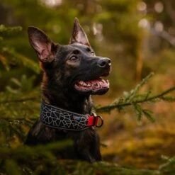 Rukka® Cube Soft Halsband, Rot / Schwarz -Günstiges Futter Leine Geschäft 139798 lfashion rukka cube soft halsband rot hs 03 8