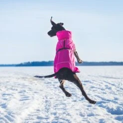 Rukka® Warmup Hundemantel, Pink -Günstiges Futter Leine Geschäft 139904 lfashion rukka warmup hundemantel hotpink 38cm hs 04 1