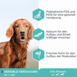 Eukanuba Daily Care Adult Sensitive Digestion -Günstiges Futter Leine Geschäft 149006 tetragmbhiams eukanuba dailycare adult sensitive digestion 12kg hs 02 0