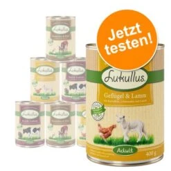6 X 400 G Lukullus Naturkost Gemischte Probierpaket