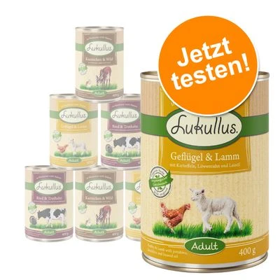6 X 400 G Lukullus Naturkost Gemischte Probierpaket 3 6 X 400 G Lukullus Naturkost Gemischte Probierpaket