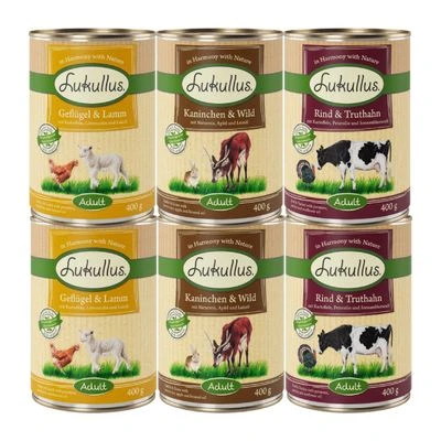 6 X 400 G Lukullus Naturkost Gemischte Probierpaket 4 6 X 400 G Lukullus Naturkost Gemischte Probierpaket – Bild 2