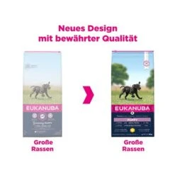 Eukanuba Puppy Large Breed Huhn 9 Eukanuba Puppy Large Breed Huhn -Günstiges Futter Leine Geschäft 162902 tetragmbhiams eukanuba puppy largebreed huhn dog 15kg hs 08 3