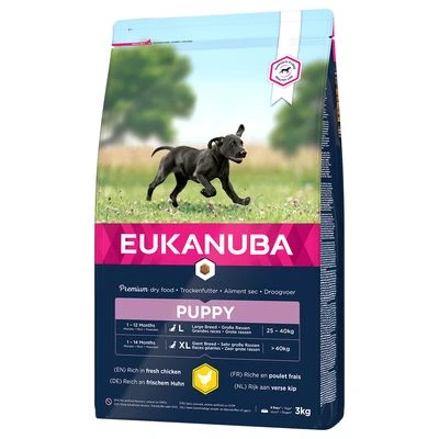 Eukanuba Puppy Large Breed Huhn 3 Eukanuba Puppy Large Breed Huhn