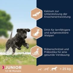Eukanuba Junior Large Breed Huhn -Günstiges Futter Leine Geschäft 162904 tetragmbhiams eukanuba junior large breed huhn dog 15kg hs 04 6