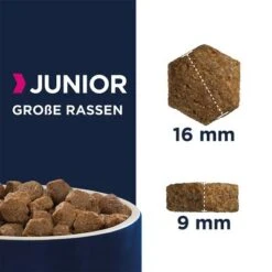 Eukanuba Junior Large Breed Huhn -Günstiges Futter Leine Geschäft 162904 tetragmbhiams eukanuba junior large breed huhn dog 15kg hs 05 9