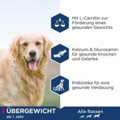 Eukanuba Daily Care Overweight Adult Dog -Günstiges Futter Leine Geschäft 163198 tetragmbhiams eukanuba dailycare overweight adult dog 12kg hs 03 4