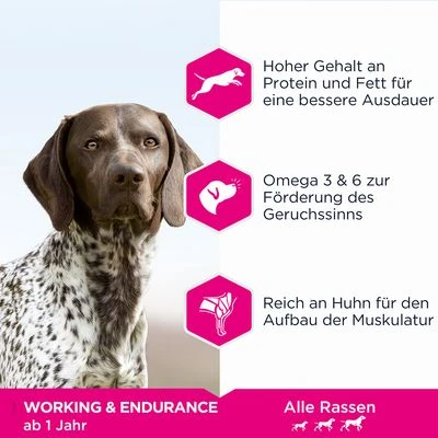 Eukanuba Daily Care Working & Endurance Adult Dog – Bild 3