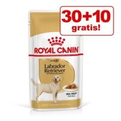 30 + 10 / 36 + 12 Gratis! 40 X 140 G / 48 X 85 G Royal Canin Adult -Günstiges Futter Leine Geschäft 1675848962834 untitled 1 6