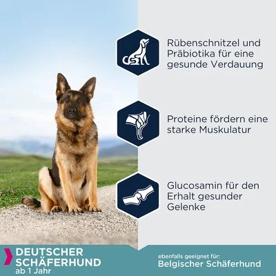 Eukanuba Adult Breed Specific Deutscher Schäferhund 4 Eukanuba Adult Breed Specific Deutscher Schäferhund – Bild 2