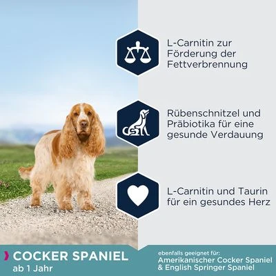 Eukanuba Adult Breed Specific Cocker Spaniel – Bild 2