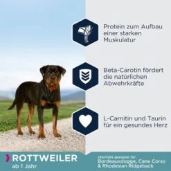 Eukanuba Adult Breed Specific Rottweiler -Günstiges Futter Leine Geschäft 170001 tetragmbhiams eukanuba adult breedspecific rottweiler 12kg hs 04 1