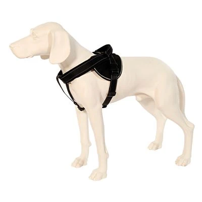 Patentopet Dog Control Geschirr Schwarz – Bild 2