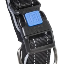 ArmoredTech Dog Control Halsband, Schwarz -Günstiges Futter Leine Geschäft 173096 173097 173098 asaquaristik dogcontrol halsband schwarz hs 02 5