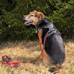 Petlando Pawz & Pepper Hundegeschirr Strong - Rot/schwarz -Günstiges Futter Leine Geschäft 174596 174696 petlando fuhrleinestrong rot 230cm hs 09 7