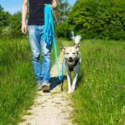 Petlando Pawz & Pepper Schleppleine Strong, Blau -Günstiges Futter Leine Geschäft 174796 174797 pawznpepper schleppleine rund geflochten blau hs 05 6