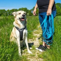 Petlando Pawz & Pepper Schleppleine Strong, Blau -Günstiges Futter Leine Geschäft 174796 174797 pawznpepper schleppleine rund geflochten blau hs 06 9