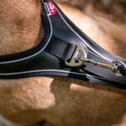 Curli Belka Comfort Geschirr - Schwarz -Günstiges Futter Leine Geschäft 176034 curli belka comfort geschirr schwarz hs 10 7