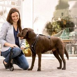 Curli Belka Comfort Geschirr - Schwarz -Günstiges Futter Leine Geschäft 176034 curli belka comfort geschirr schwarz hs 11 2