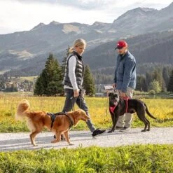 Curli Belka Comfort Geschirr - Schwarz -Günstiges Futter Leine Geschäft 176034 curli belka comfort geschirr schwarz hs 12 7