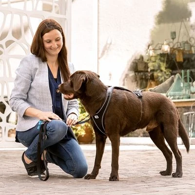 Curli Verstellbare Leine Nylon, Schwarz 5 Curli Verstellbare Leine Nylon, Schwarz – Bild 3