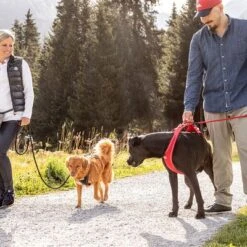 Curli Belka Comfort Geschirr - Rot -Günstiges Futter Leine Geschäft 177196 curli belka comfort geschirr rot hs 13 7