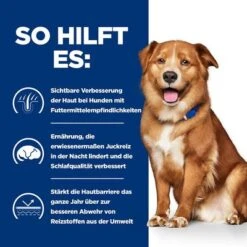 Hill's Prescription Diet Derm Complete -Günstiges Futter Leine Geschäft 179109 hills prescriptiondiet caninederm complete hs 05 3