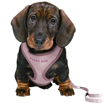 Trixie Junior Welpen-Softgeschirr Mit Leine – Bild 6