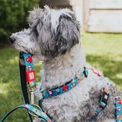 Max & Molly H-G﻿eschirr Little Monsters -Günstiges Futter Leine Geschäft 186583 186584 189797 maxnmolly hg eschirr littlemonsters hs 01 7