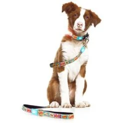 Max & Molly Kurzleine Comic -Günstiges Futter Leine Geschäft 186587 maxnmolly kurzleine comic hs 03 2