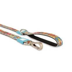 Max & Molly Kurzleine Comic -Günstiges Futter Leine Geschäft 186587 maxnmolly kurzleine comic hs 07 5