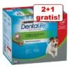 2 + 1 Gratis! 3 X Purina Dentalife Hundesnacks 1 2 + 1 Gratis! 3 X Purina Dentalife Hundesnacks -Günstiges Futter Leine Geschäft 1873446 4