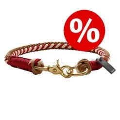 HUNTER Halsung Tinnum Zum Sonderpreis!