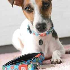 Max & Molly Multifunktionsleine Little Monsters -Günstiges Futter Leine Geschäft 189696 186582 189796 maxnmolly multifunktionsleine littlemonsters dog hs 05 0