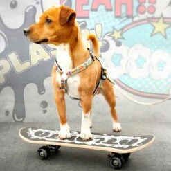 Max & Molly H-G﻿eschirr Comic -Günstiges Futter Leine Geschäft 189999 186590 190000 maxnmolly h geschirr comic hs 03 8