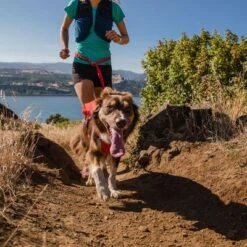 Ruffwear Switchbak Harness, Red Sumac 28 Ruffwear Switchbak Harness, Red Sumac -Günstiges Futter Leine Geschäft 193696 193697 193698 accapi ruffwear switchbak harness redsumac dog hs 12 1